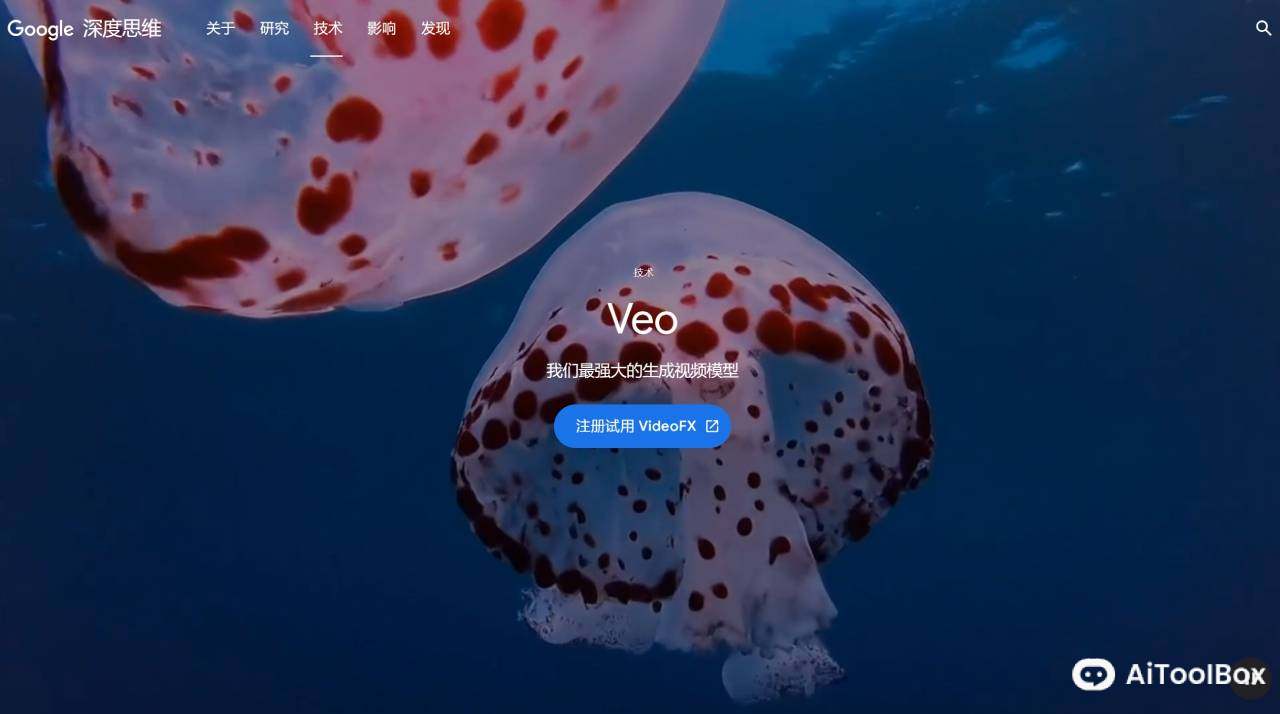 Google Veo(图1) Google Veo