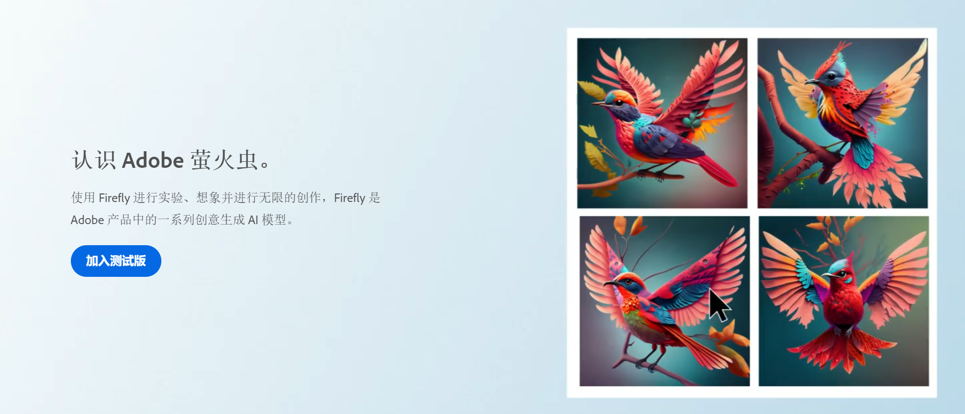 Adobe Firefly最新发布