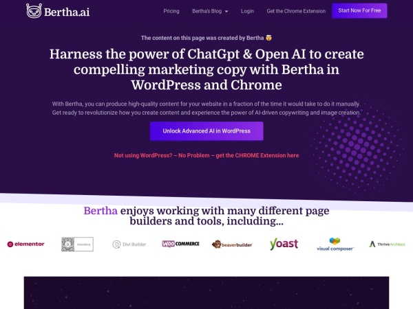 Bertha.ai