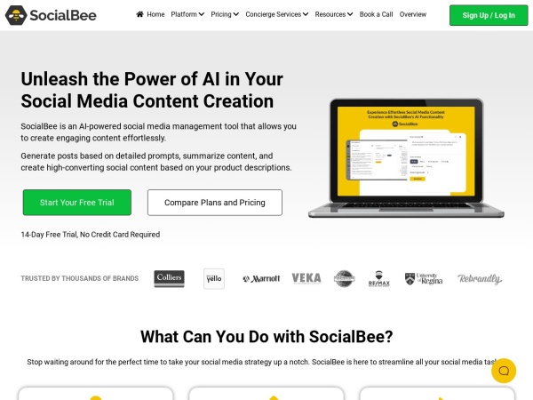SocialBee