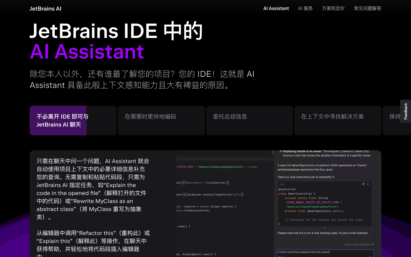 JetBrains AI编程